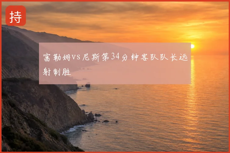 富勒姆vs尼斯第34分钟客队队长远射制胜